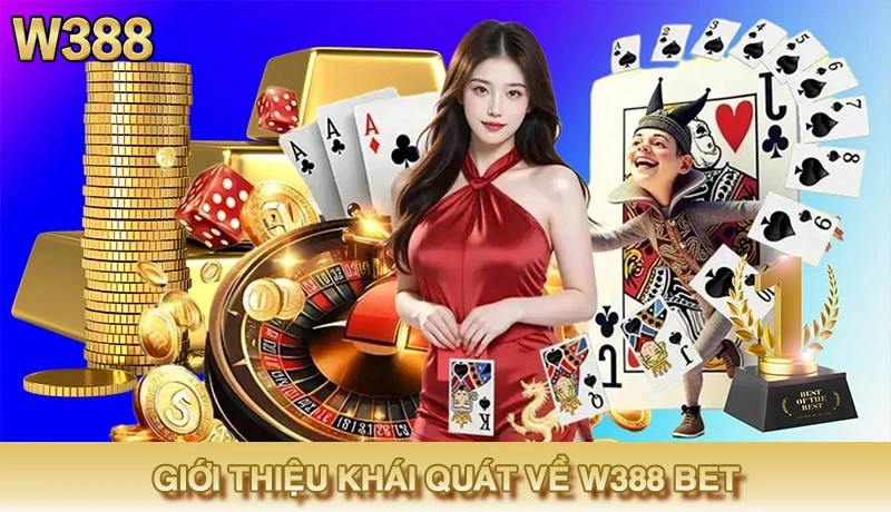 w388 banner5